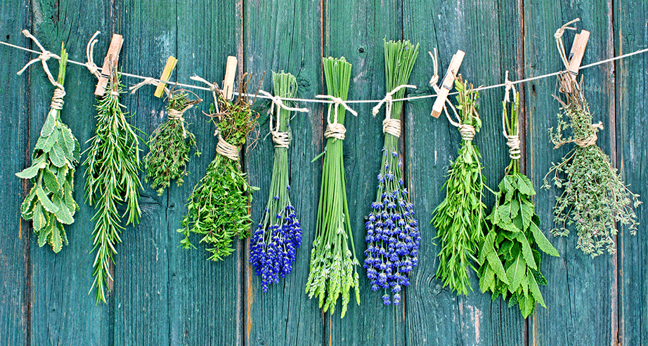 thehomeissue_herbs01