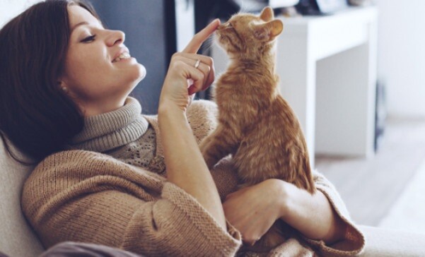 Η θεραπεία της γάτας: Τα 5 πανίσχυρα οφέλη που απολαμβάνουν όσοι ζουν με μια γάτα