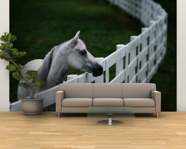 horse-mural-wall