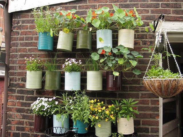plants-4