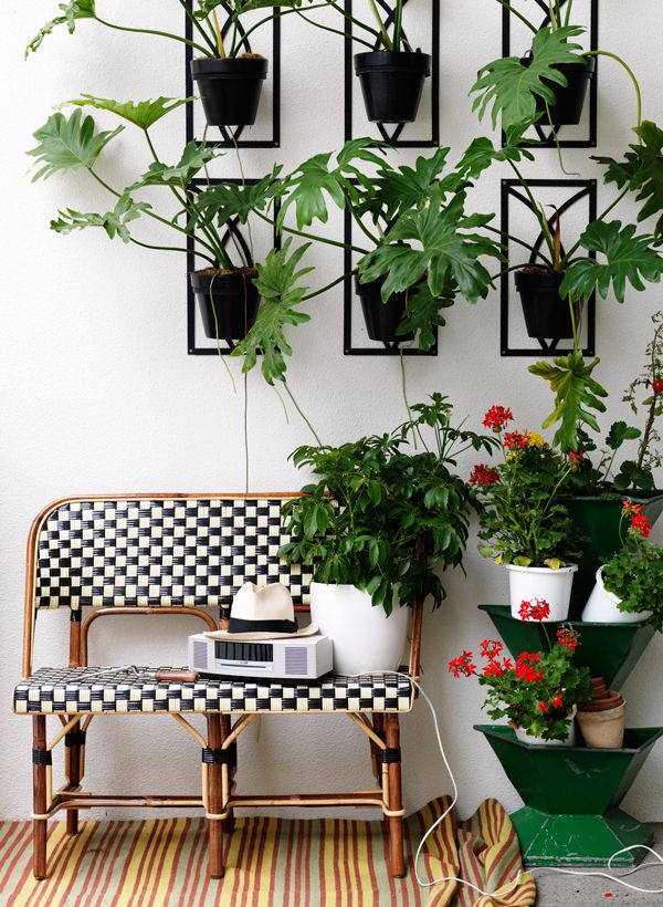 plants-6