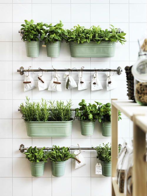 plants-8