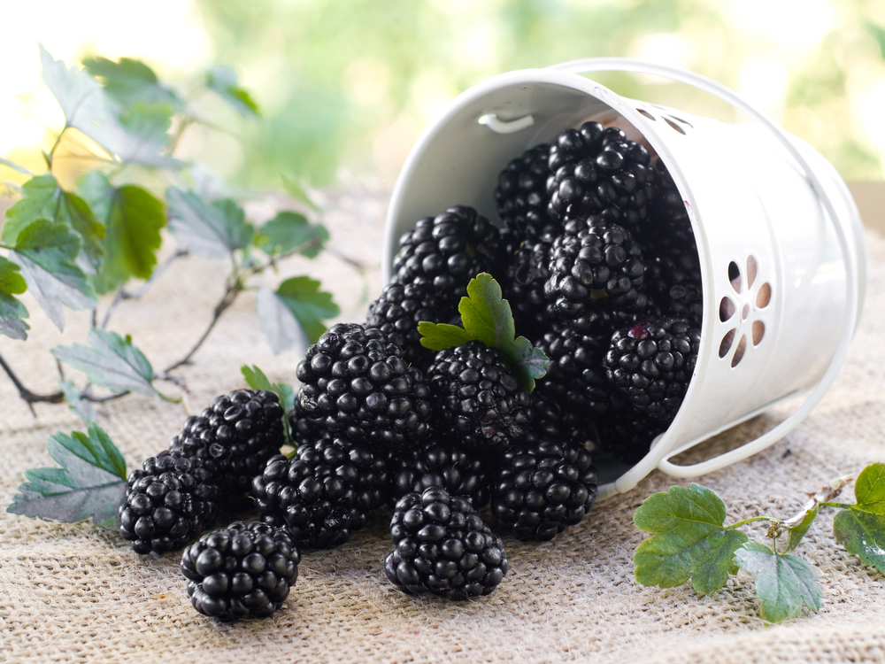 blackberries