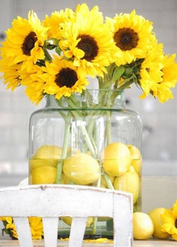 lemon-5