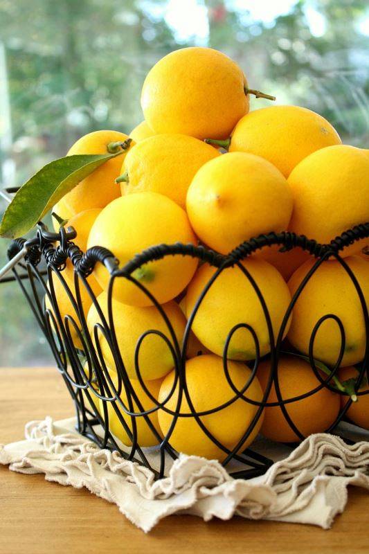 lemon-6
