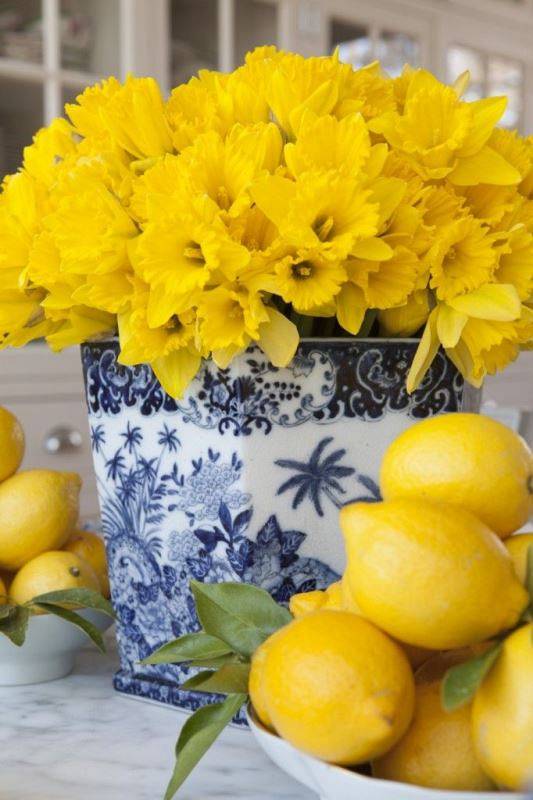 lemon-7