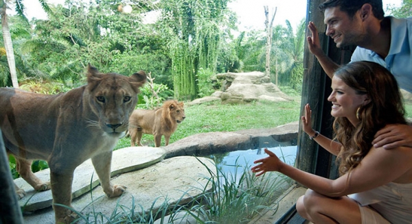 visiting-zoo-e1438005180317