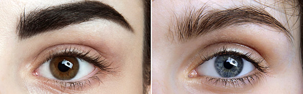 brow-590-5