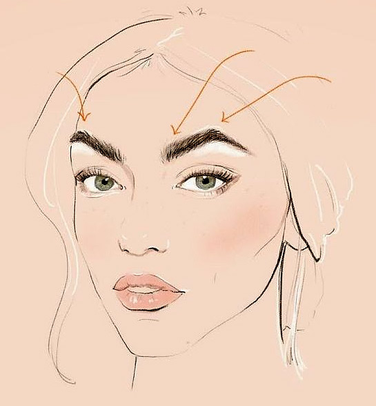 brow-590-6