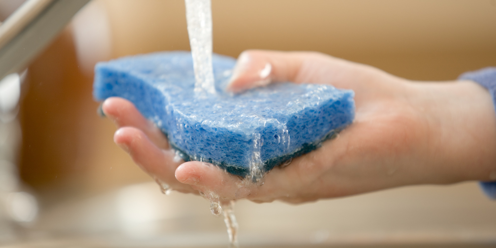 Person holding a sponge under water faucet