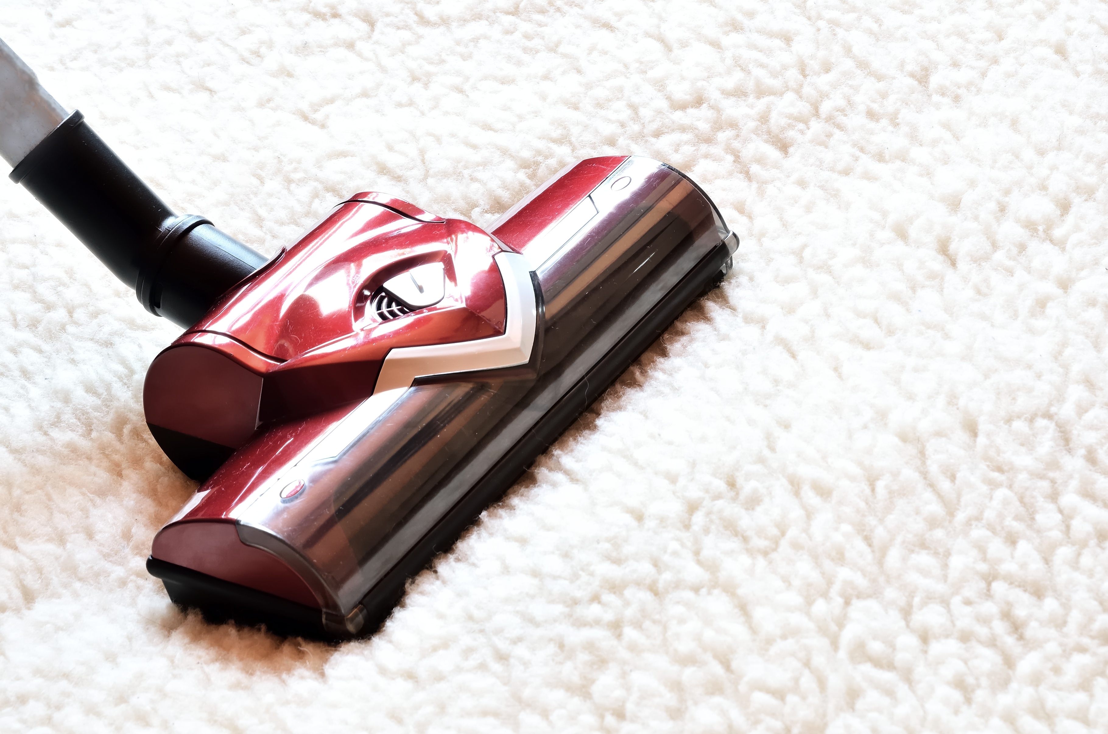 Vacuum cleaner. Close up of a modern hoover being used while vacuuming a woollen furry carpet.