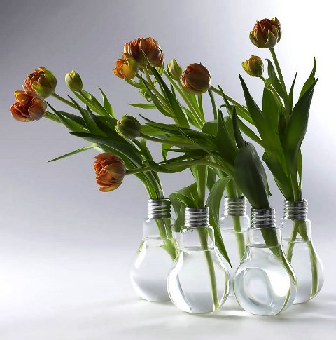 ideas-for-recycling-light-bulbs-2__880