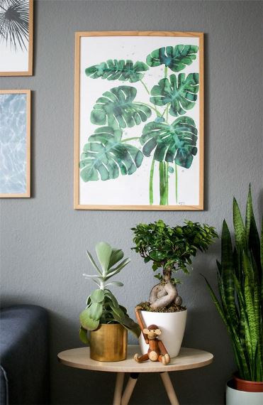 Προσθέστε κορνίζες με tropical μοτίβα στους τοίχους και μικρές γλάστρες με φυτά.