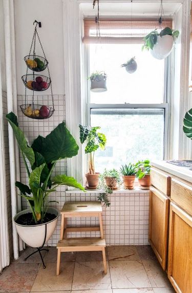 Διακοσμήστε με φυτά και κρεμάστε τα φρούτα και τα φρέσκα μυρωδικά στους τοίχους.